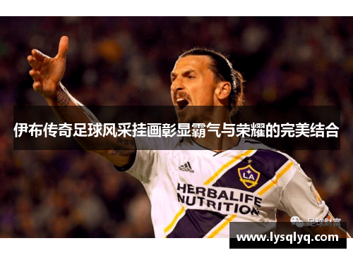 伊布传奇足球风采挂画彰显霸气与荣耀的完美结合