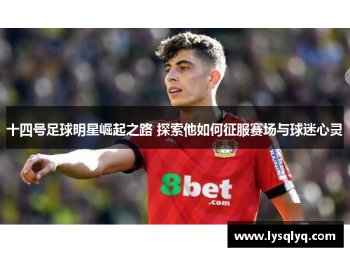 十四号足球明星崛起之路 探索他如何征服赛场与球迷心灵