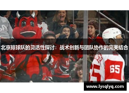 北京排球队的灵活性探讨：战术创新与团队协作的完美结合