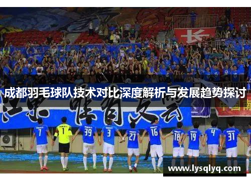 成都羽毛球队技术对比深度解析与发展趋势探讨