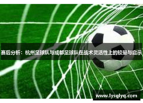 赛后分析：杭州足球队与成都足球队在战术灵活性上的较量与启示